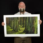 THE CEDAR GROVE giclée print